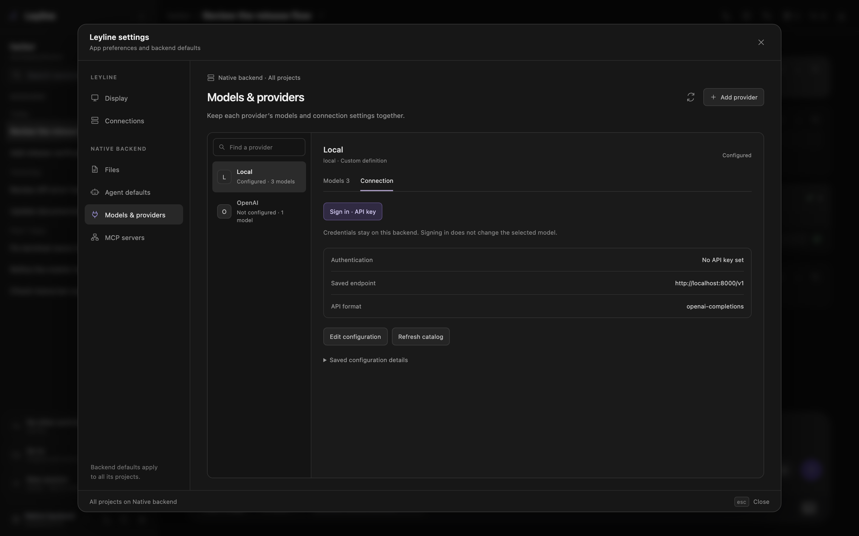 Provider connection settings with authentication and endpoint controls
