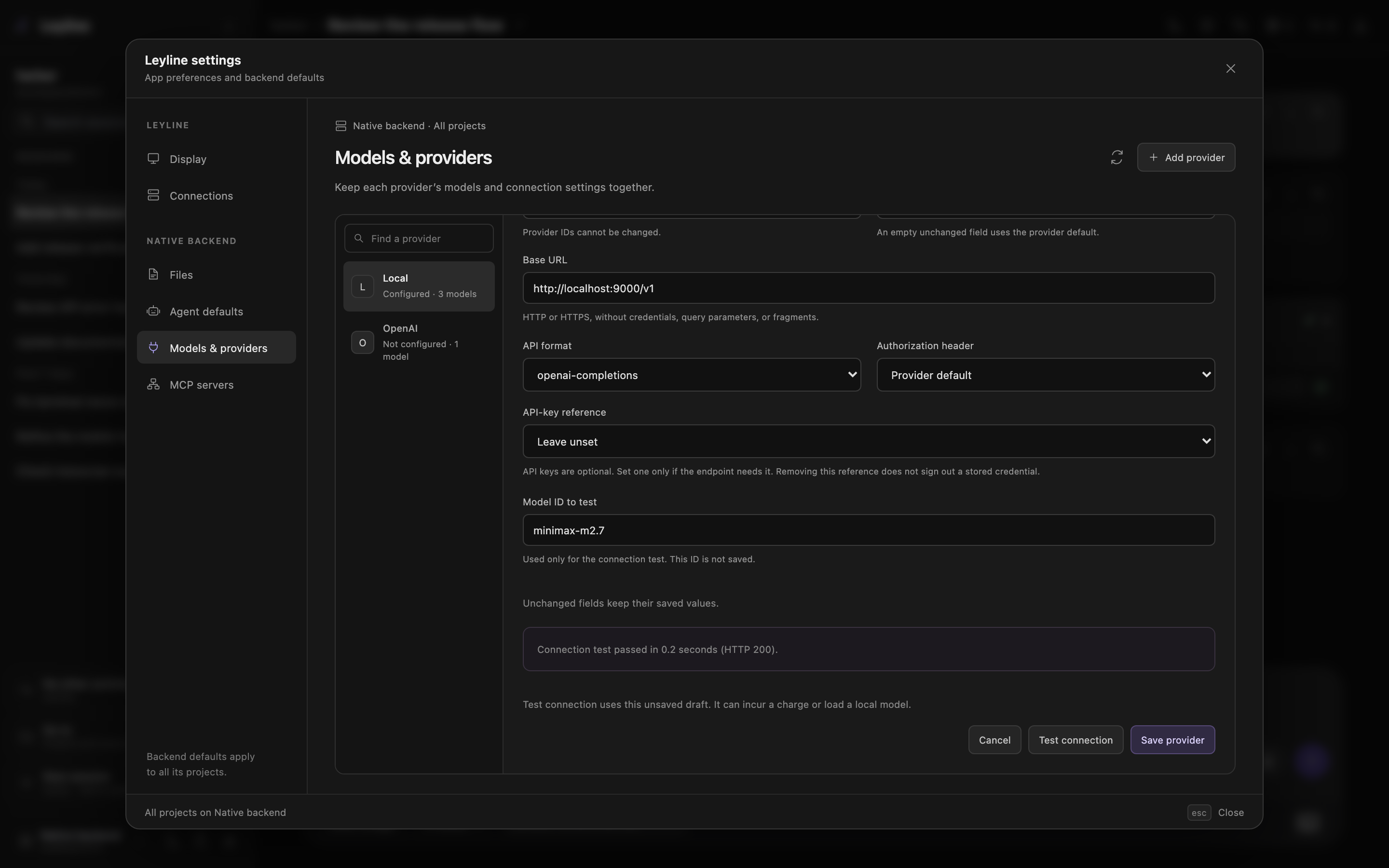 Provider editor with unsaved connection settings and a successful test beside Save