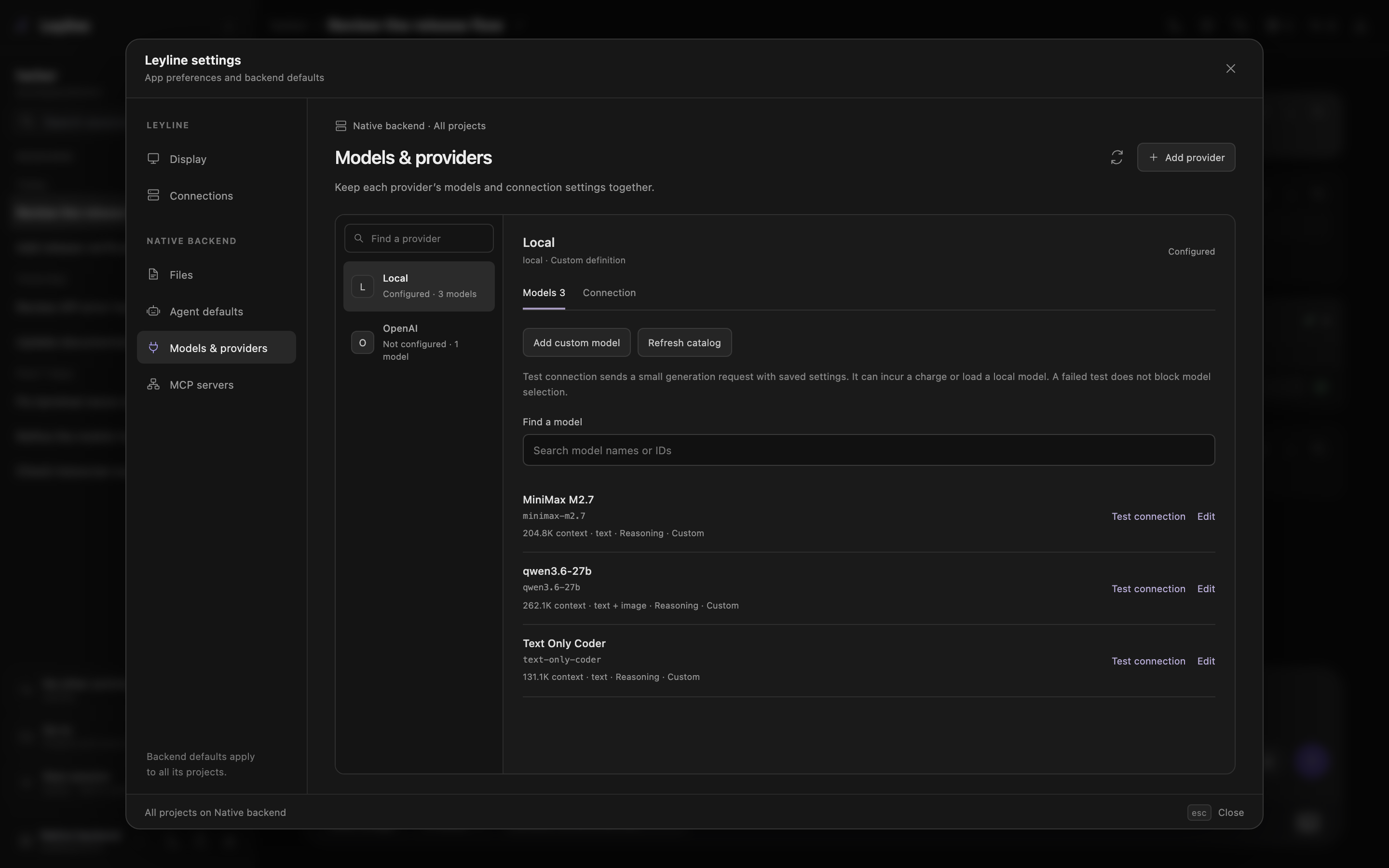 Provider Models tab with custom model definitions and catalog controls